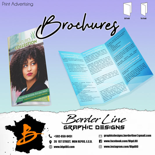 Brochures (25 Pieces Minimum) - Border Line Graphic Designs